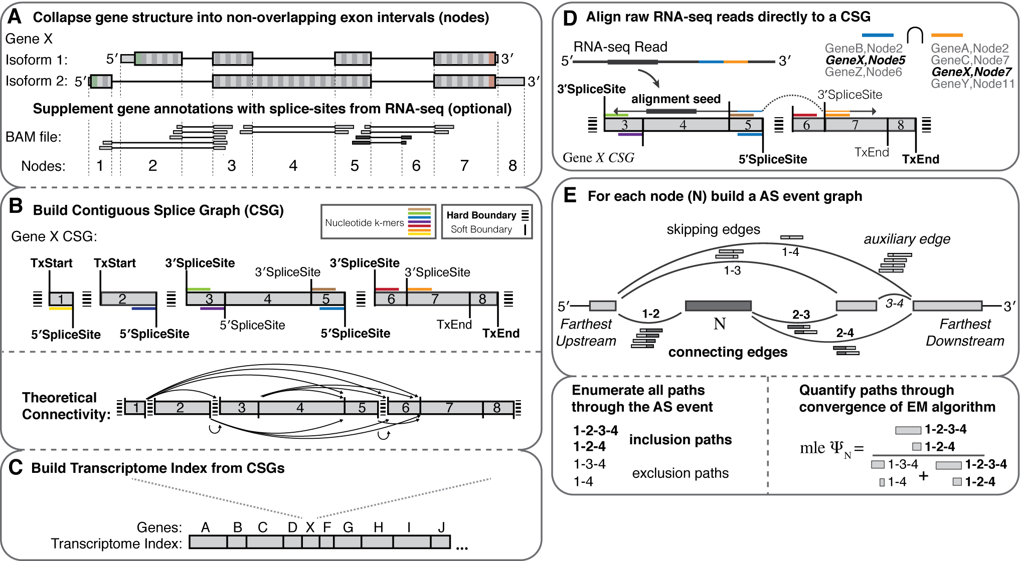 Whippet Schematic