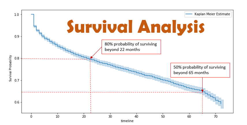 Survival Analysis