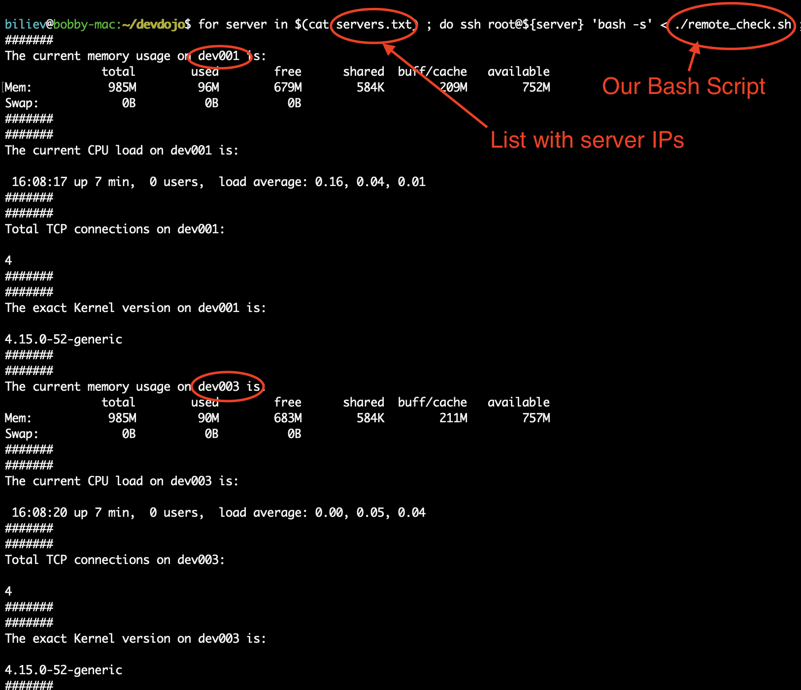 Running bash script on multiple remote servers