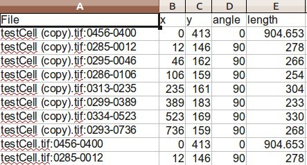 result-measurements.jpeg