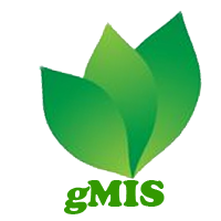 gMIS Logo