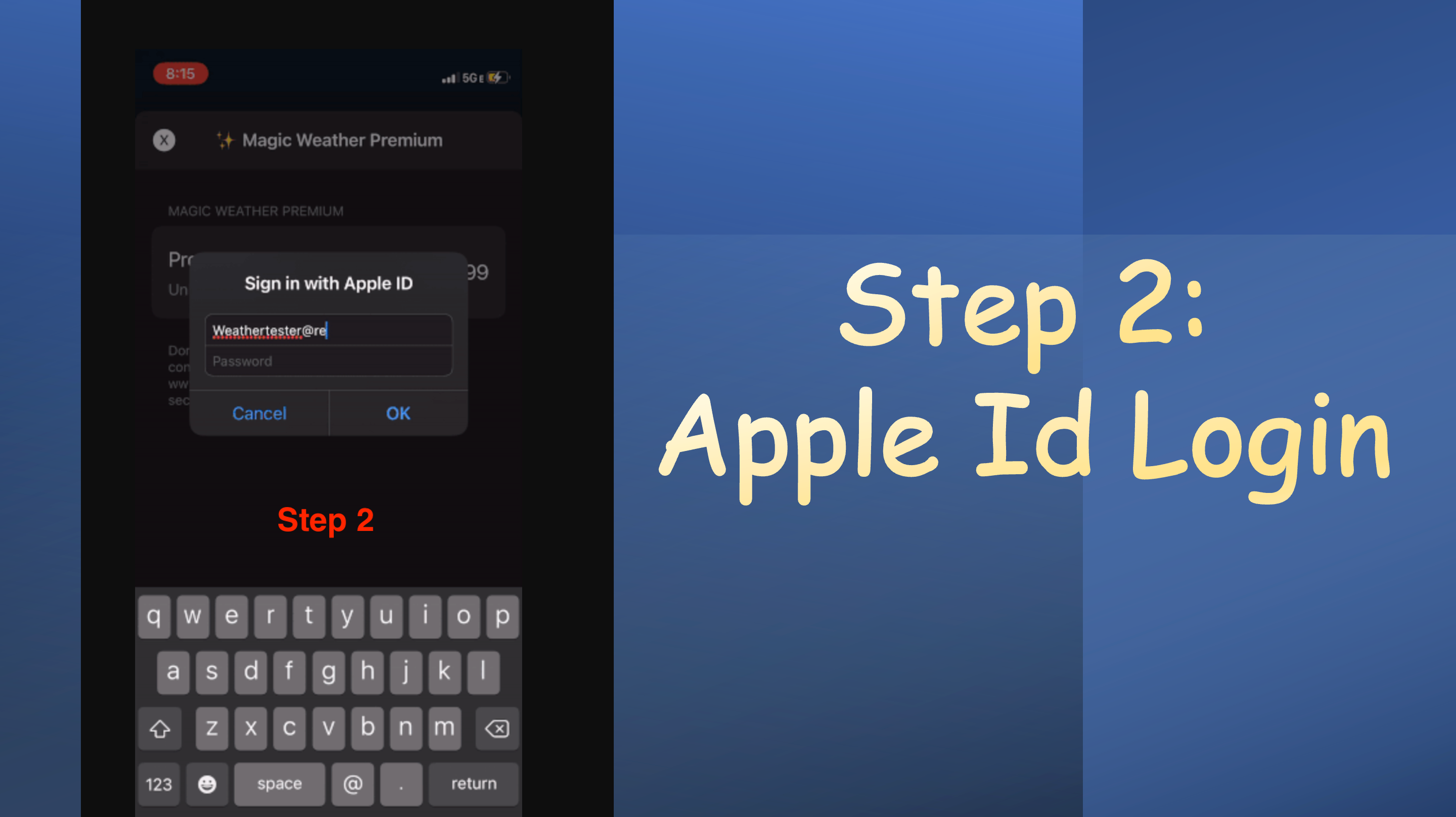 Step 2: Apple ID login