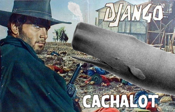 https://raw.github.com/BertrandBordage/django-cachalot/master/django-cachalot.jpg