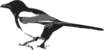 Magpie Logo