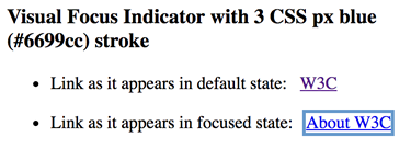 Example of accessible visual focus with 3 CSS pixel stroke
