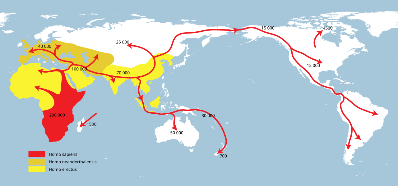 Modelo atualmente vigente da migração do Homo sapiens. Desenho: NordNordWest, 2014