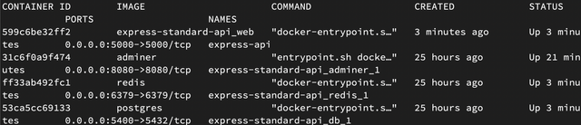 Docker Running Container