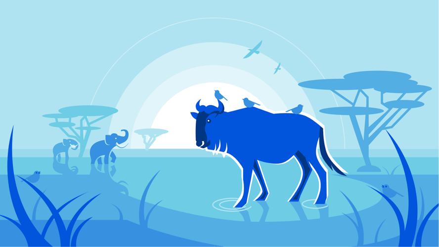 wildebeest illustration