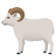 ram