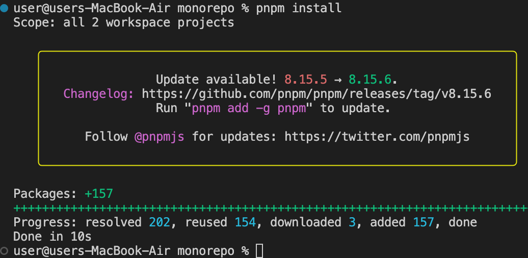 pnpm install output