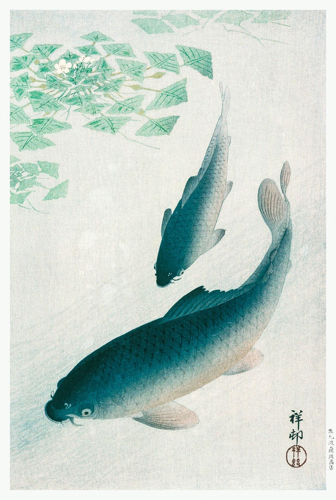 Carp or Koi Artwork