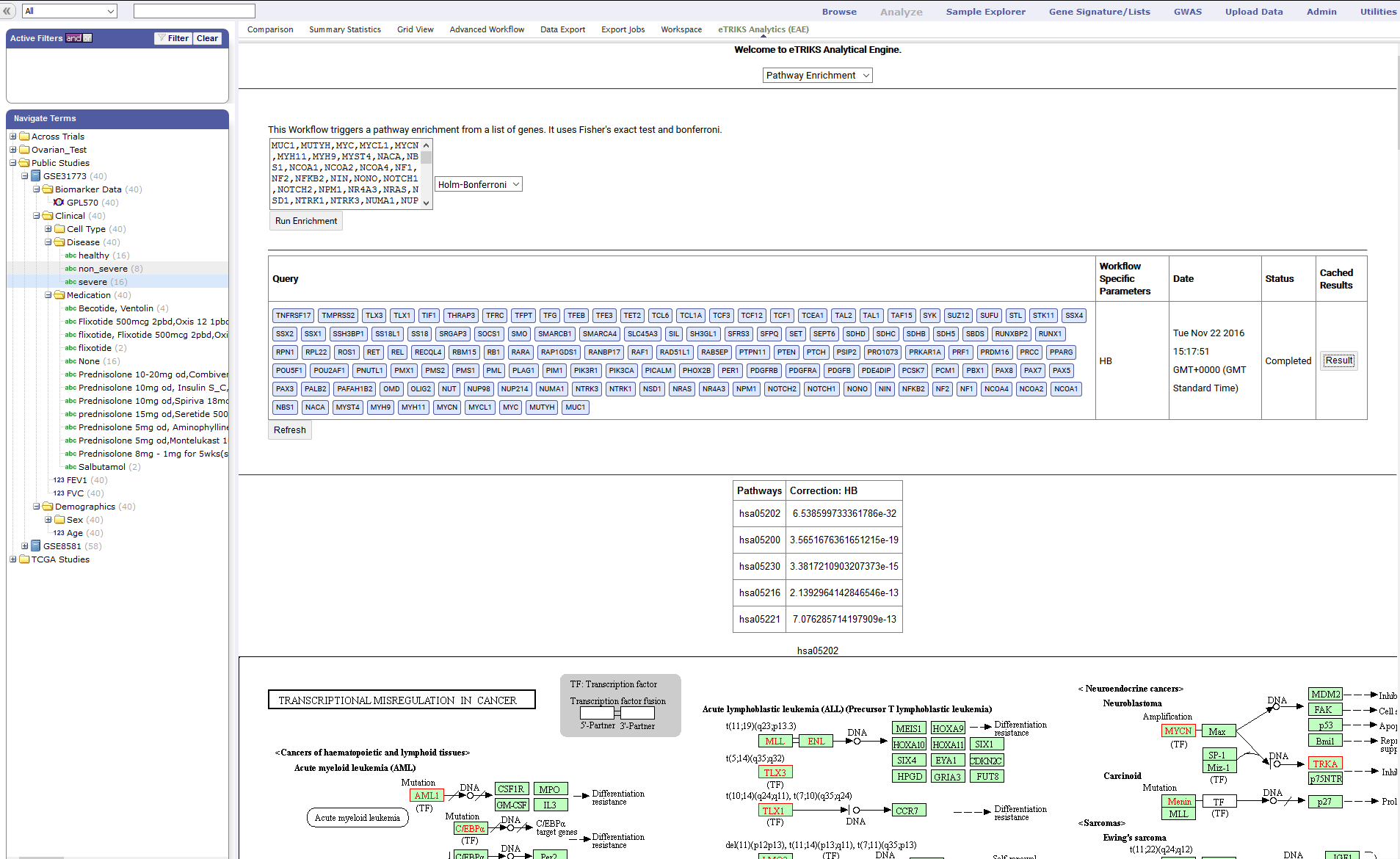 eAE-TM-plugin