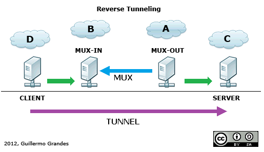 Reverse Tunneling