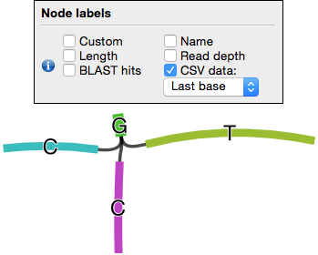 CSV labels on graph