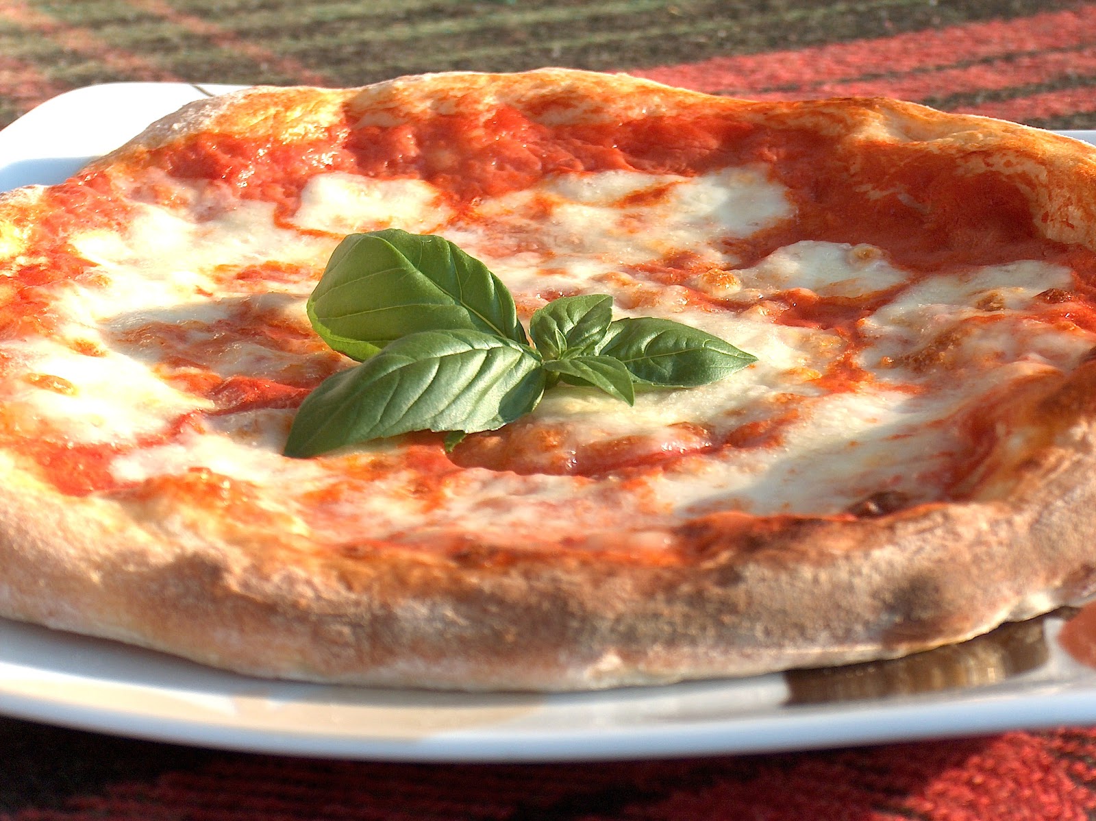 http://1.bp.blogspot.com/-HbFHTI1LQfY/UKyq7rGgEvI/AAAAAAAADmw/CK5eokMh1Wk/s1600/pizza+margherita.jpg