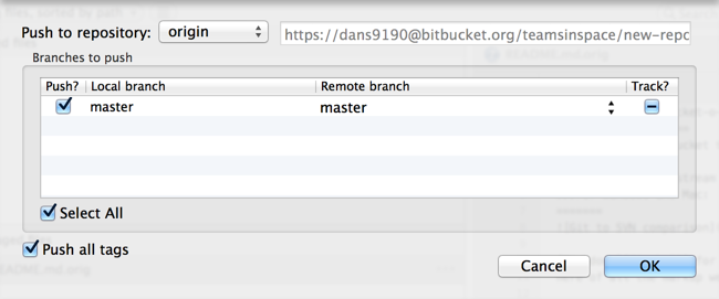 SourceTree push dialog