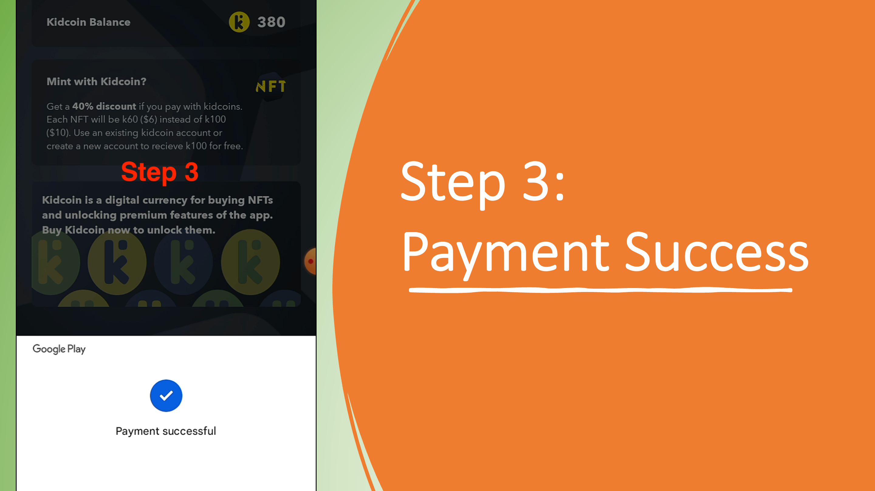 Step 3: Payment successful