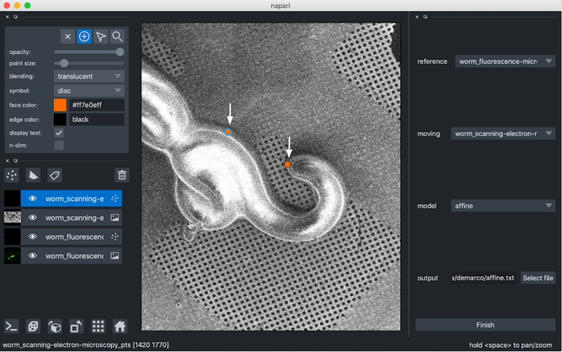 Adding corresponding points to newly focused layer