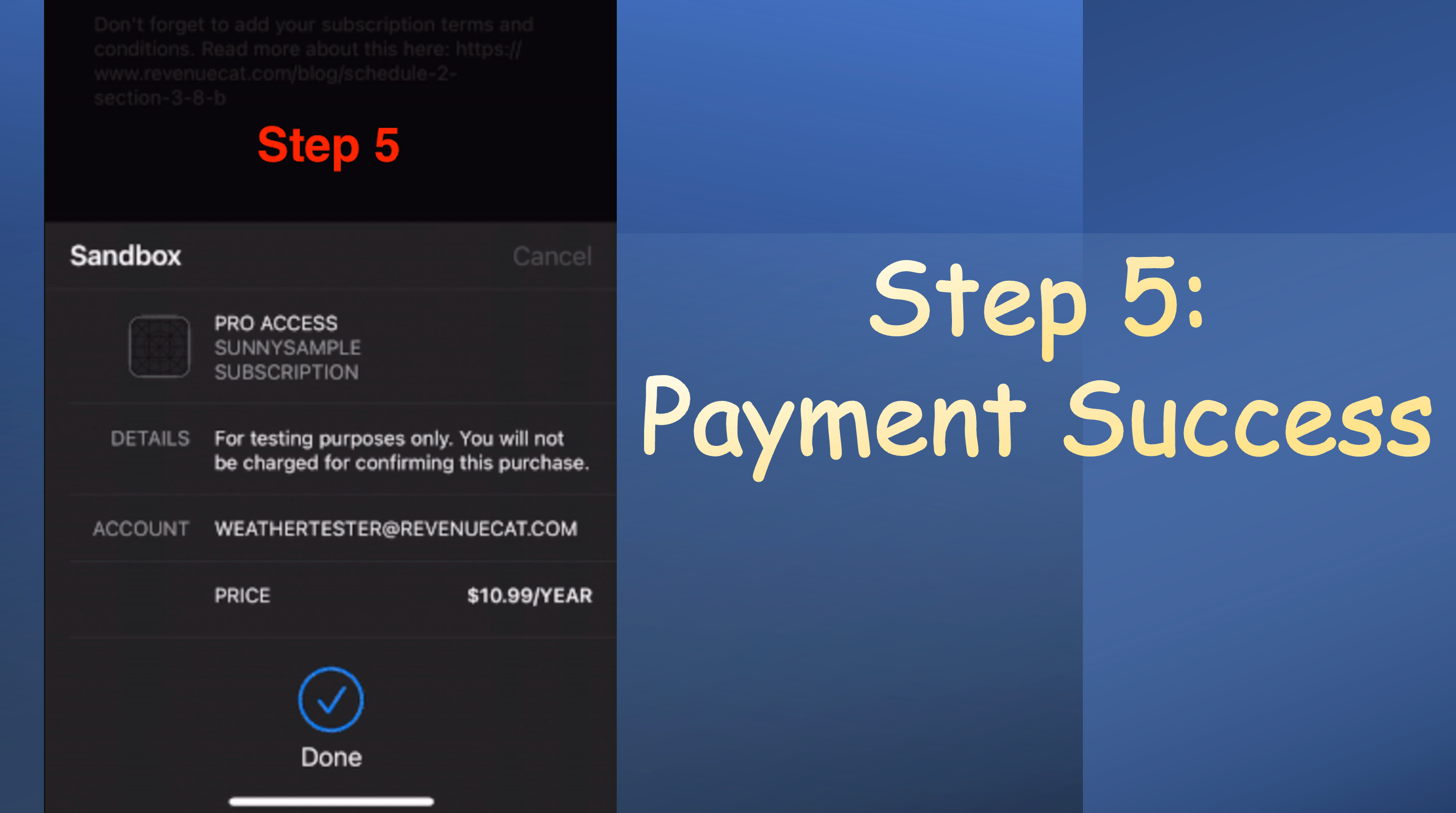 Step 5: Payment success screen