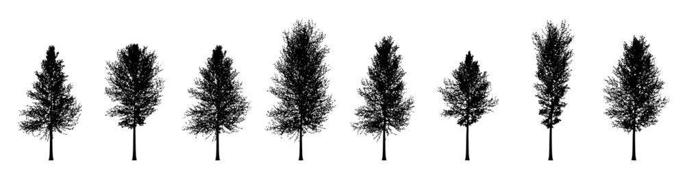 Tree Shapes