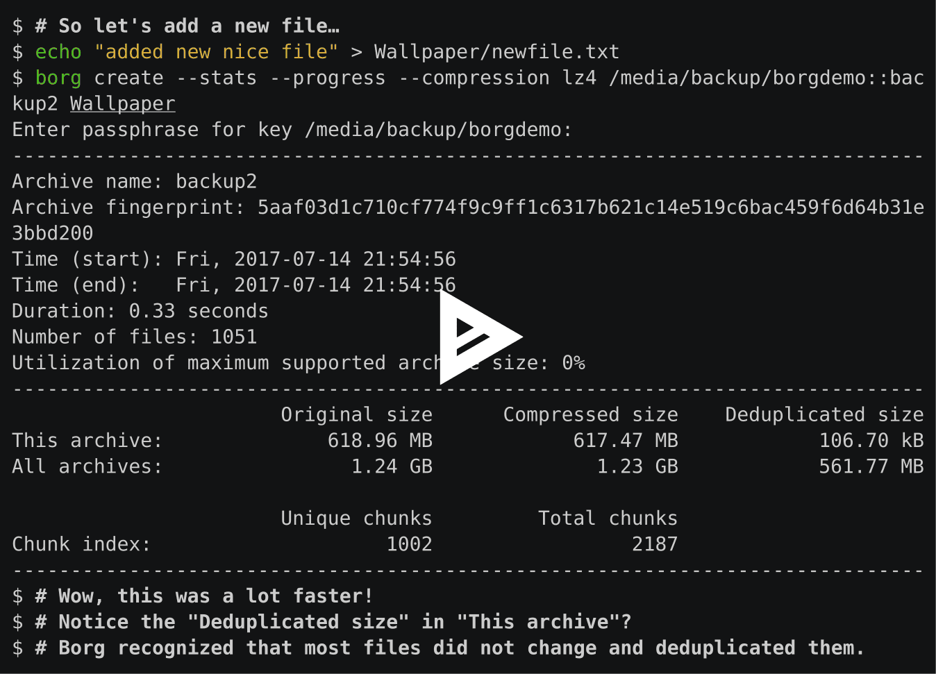 BorgBackup Basic Usage