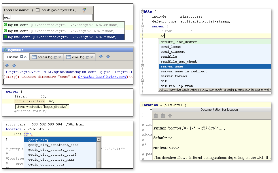 nginx plugin features