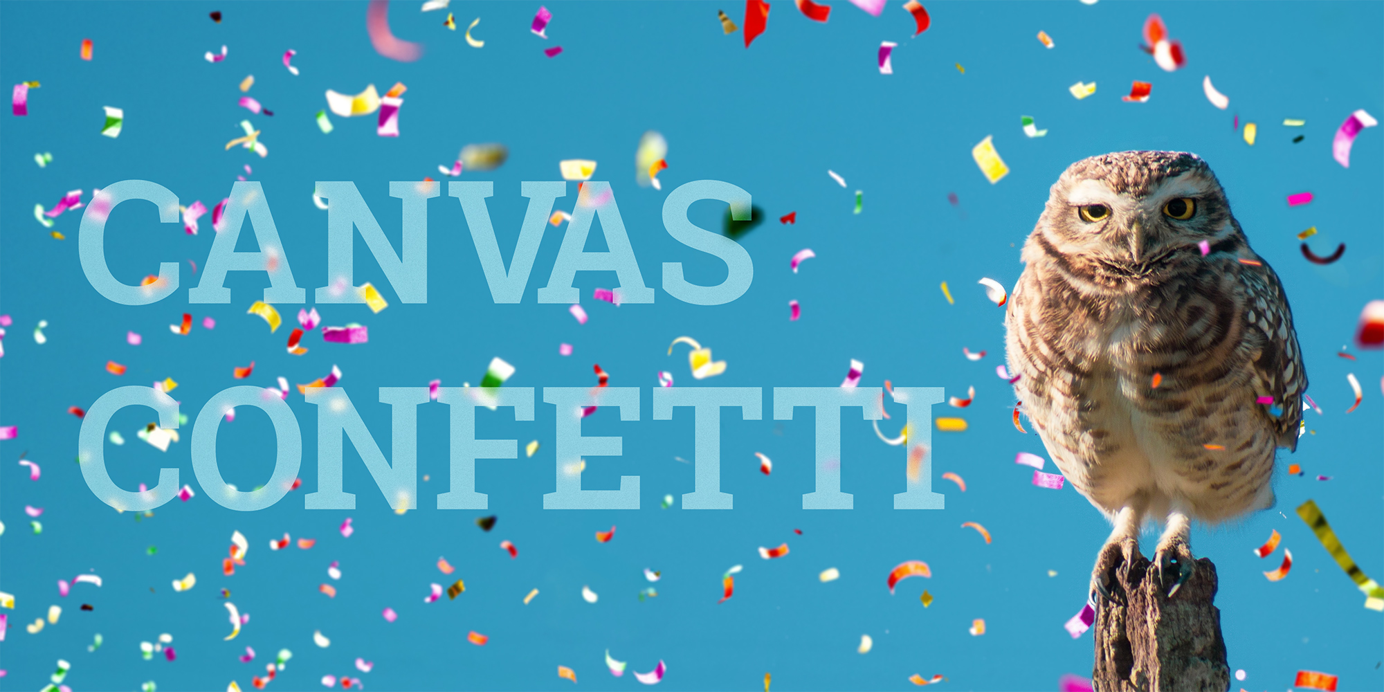 canvas confetti logo