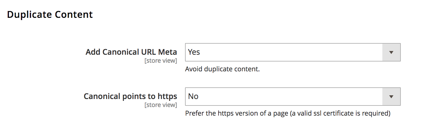 Configuration Duplicate Content for SEO