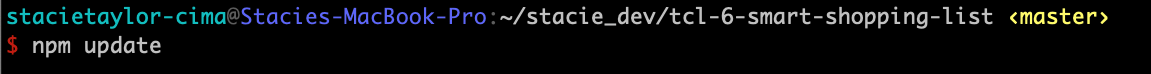 screenshot of npm update in the terminal