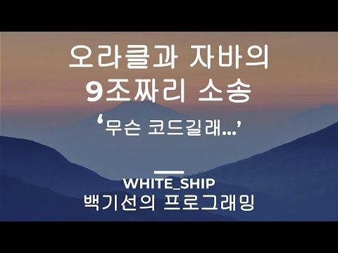 오라클과 구글의 9조짜리 소송에 대해