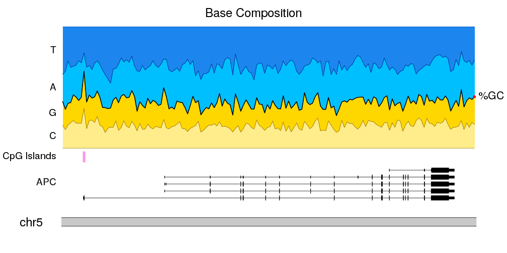 A karyoploteR example plotting the nucleotide frequency, genes and CpG-islands on a small genomic region