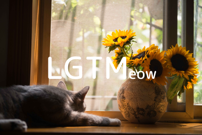 LGTMeow