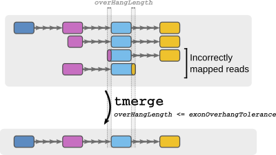 tmerge exonOverhangTolerance sketch