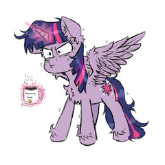 pony image