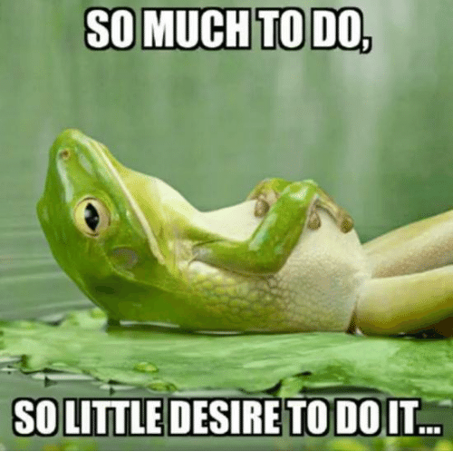 frog reclining and saying 'so much to do, so little desire to do it 