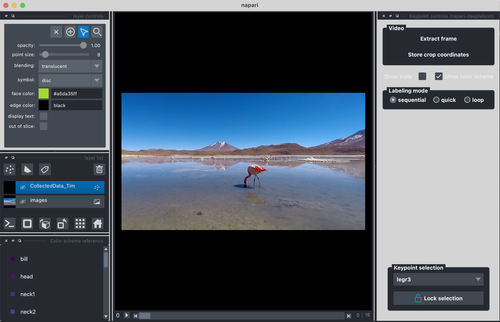 Labeling Frames in DeepLabCut using Napari Interface