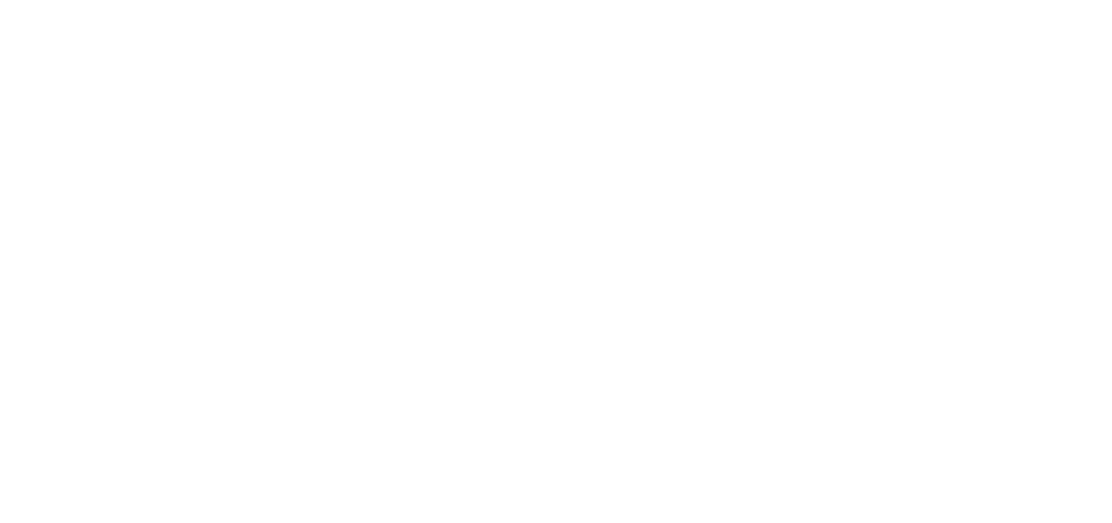 EZdev Solutions