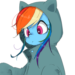 pony image