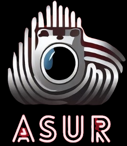 ASUR Logo