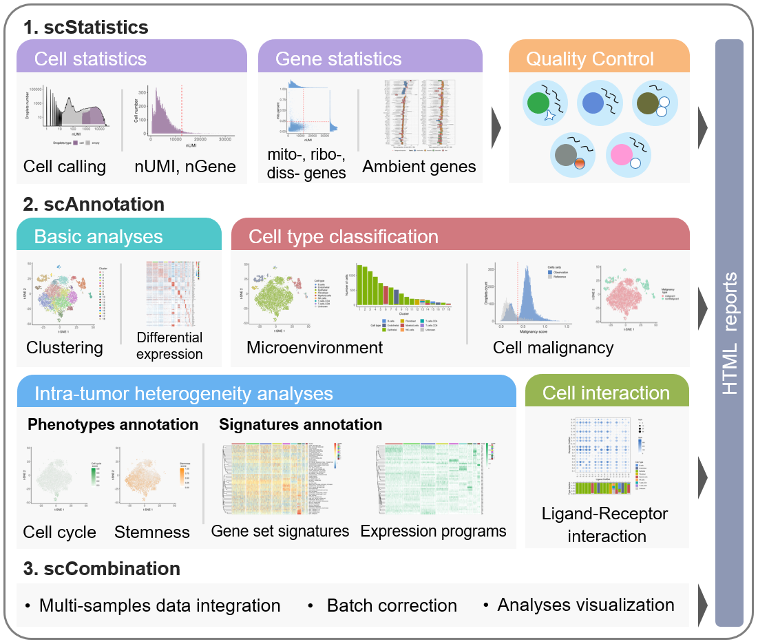 scCancer-workflow