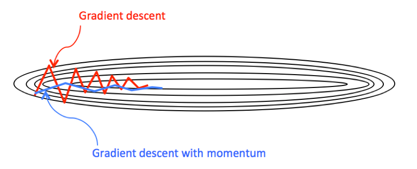 momentum opt