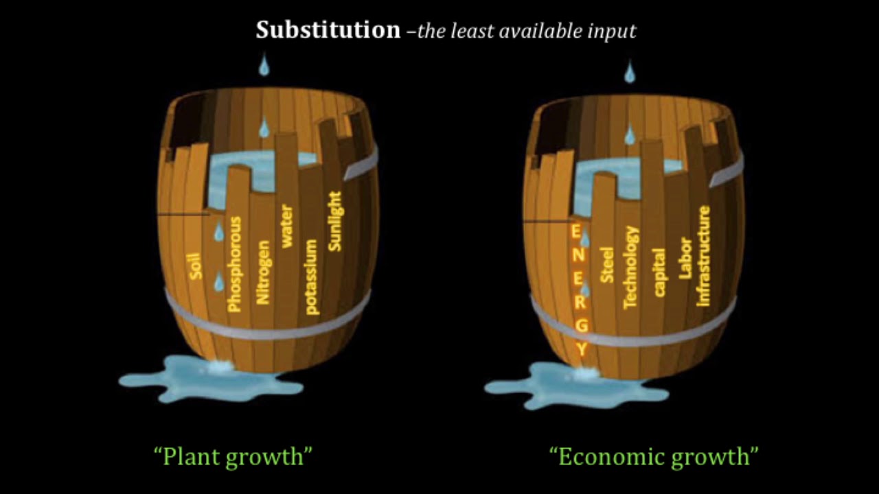 Liebig's barrel. A metaphorical broken down barrel where the maximum volume that can still be held is determined by the shortest broken stave (the limiting factor)