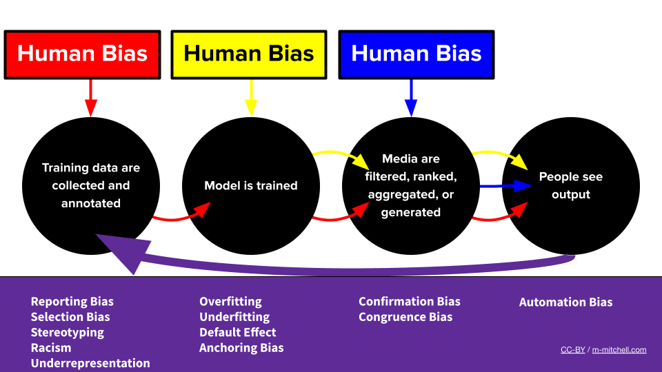 The Bias ML Pipeline by Meg