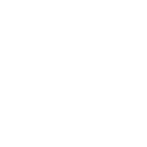 Nidelson-NextJS