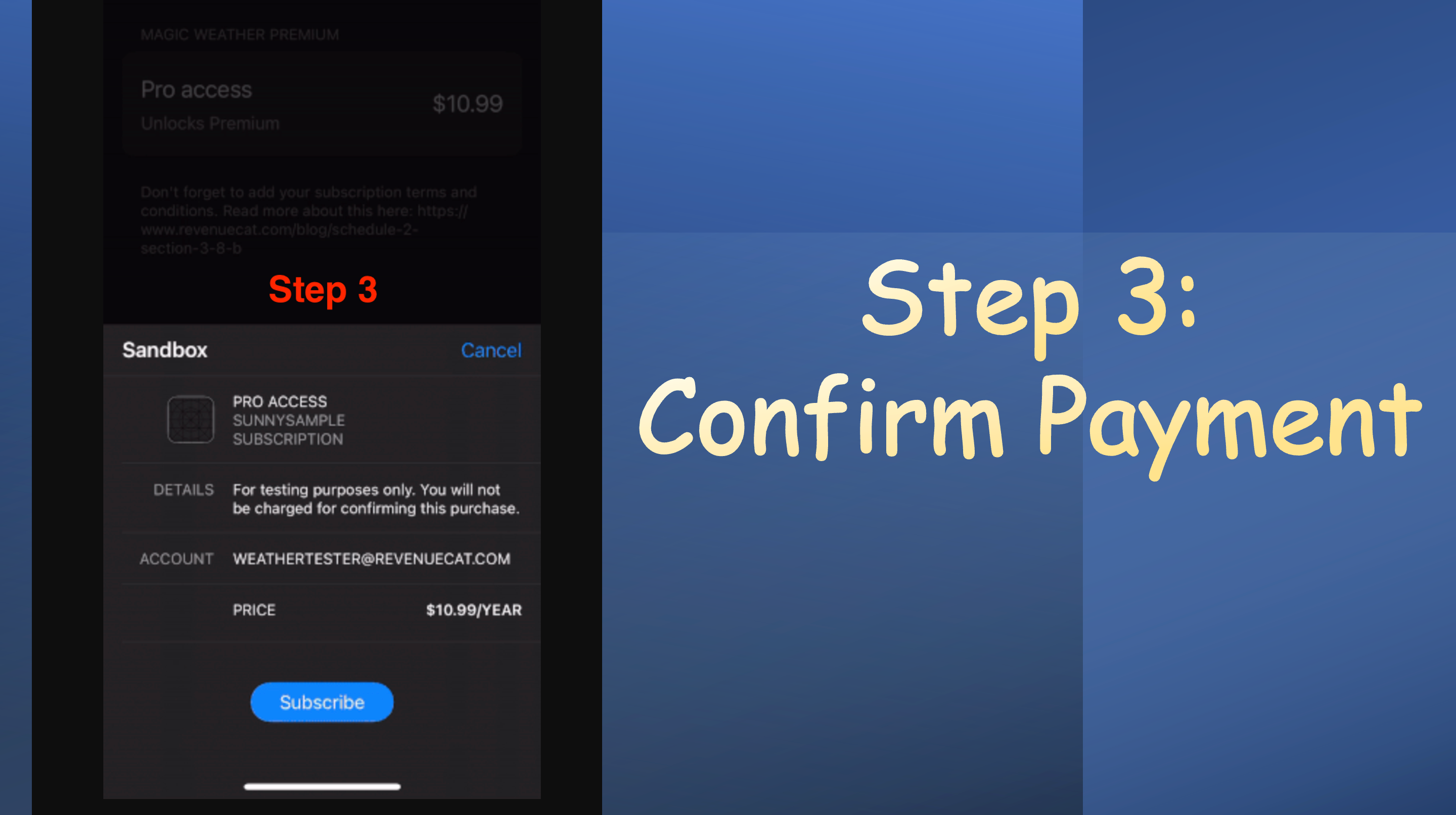 Step 3: Payment confirmation screen