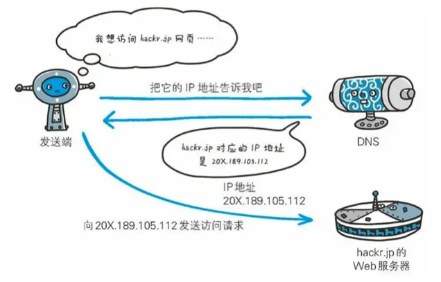 DNS 协议提供通过域名 查找 IP 地址，或逆向从 IP 地址反查域名的服务。