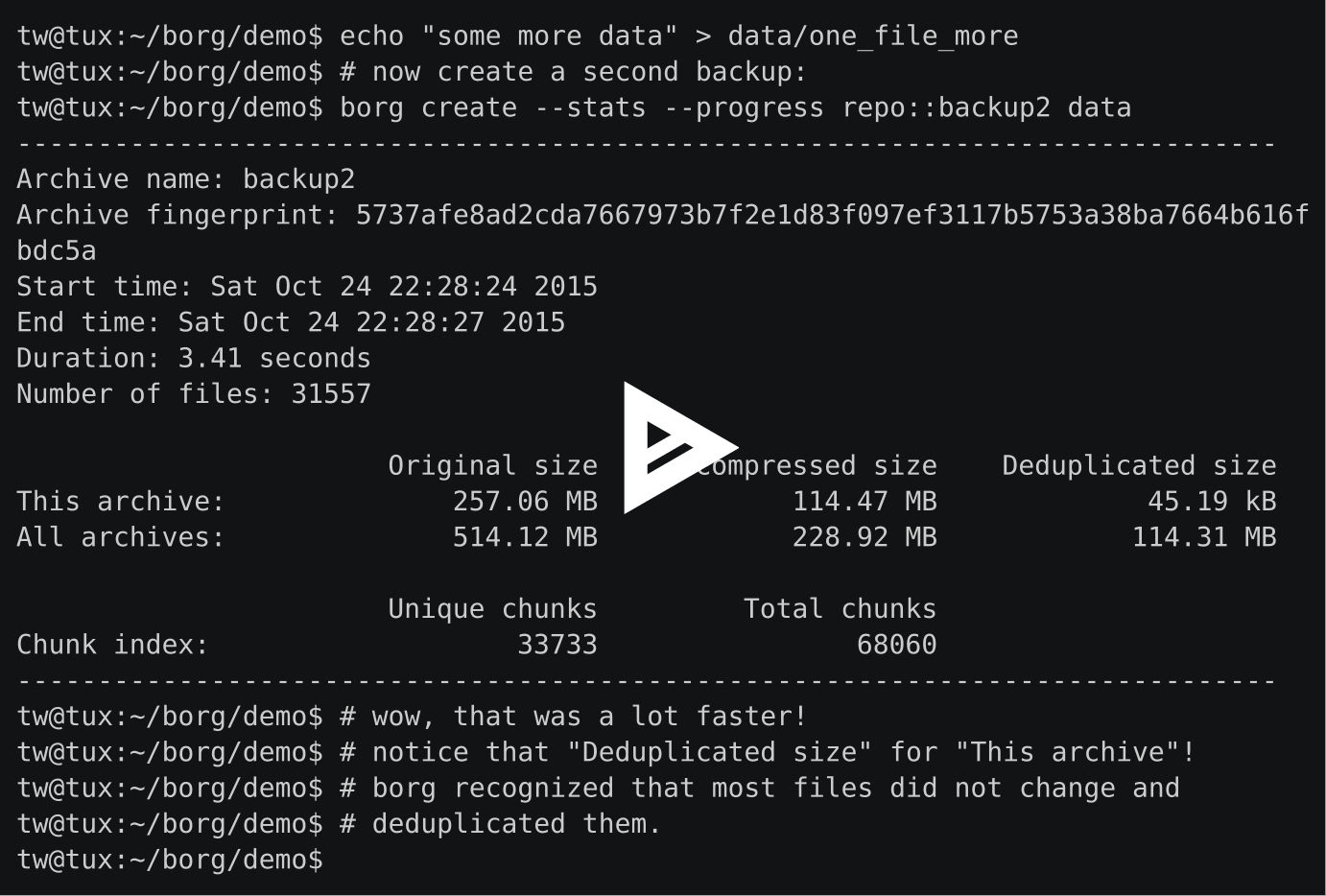 BorgBackup Installation and Basic Usage