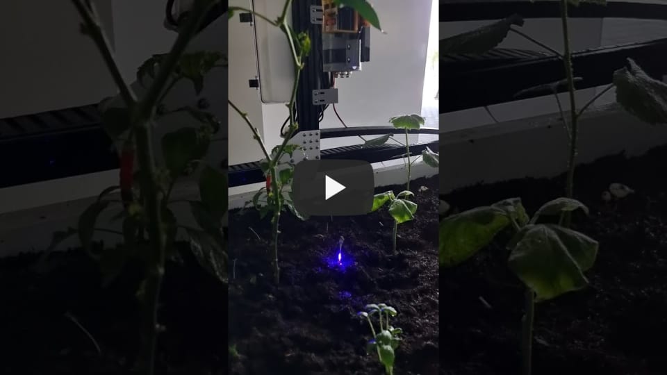 Plant Test 4 + Water