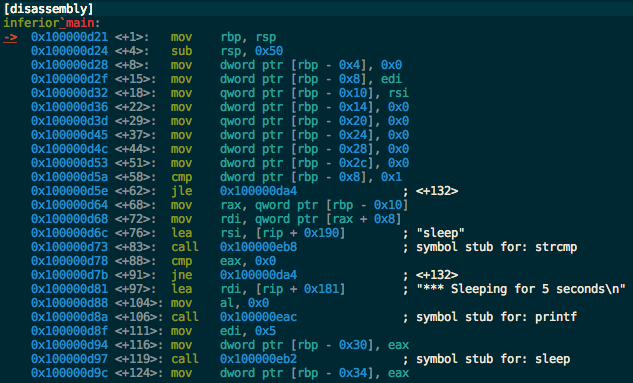 disasm_lldb
