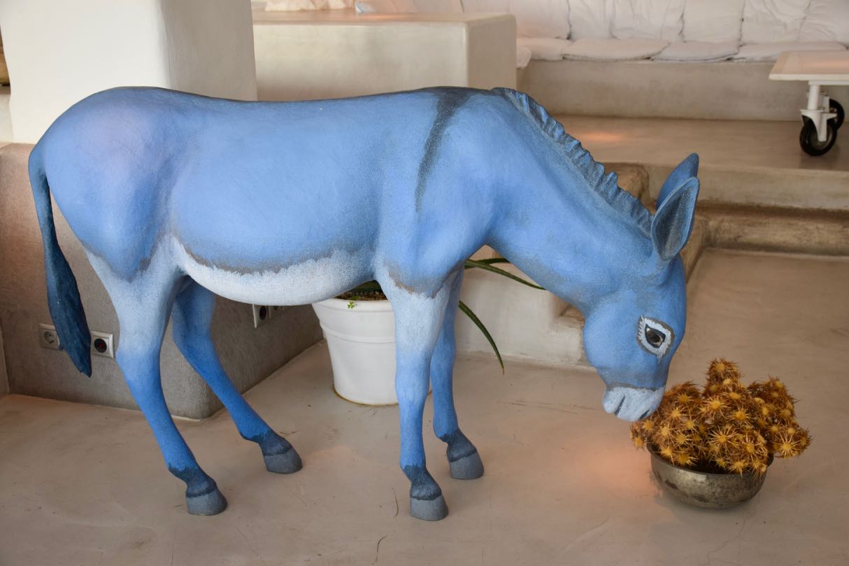 blue donkey